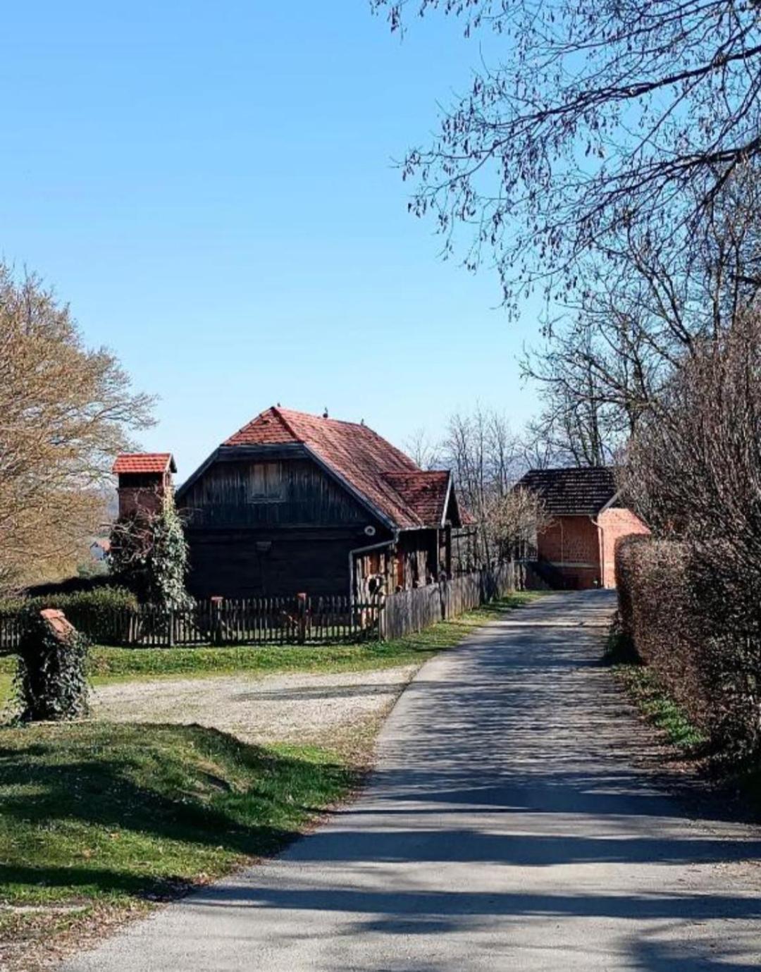 Apartment Rea Zabok A2-3km Kültér fotó